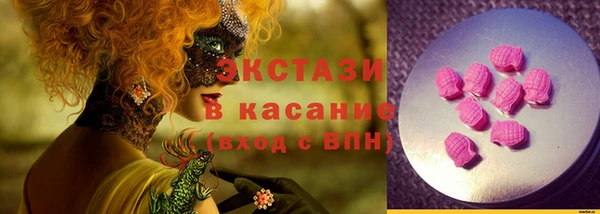 гашик Карпинск