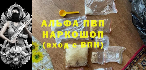 гашик Карпинск