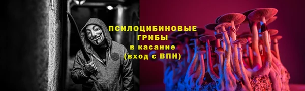 PSILOCYBIN Касимов