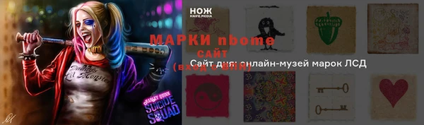 гашик Карпинск