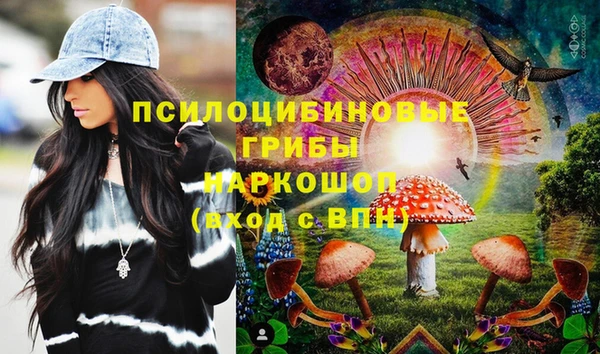 гашик Карпинск
