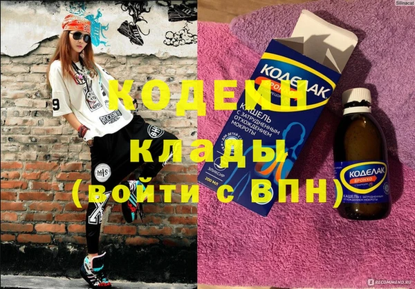 гашик Карпинск