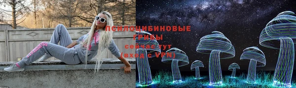 PSILOCYBIN Касимов