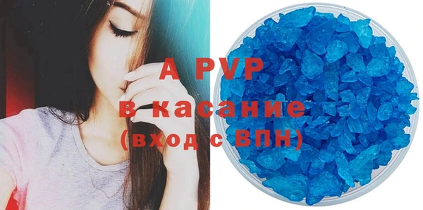гашик Карпинск