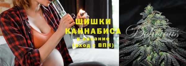 гашик Карпинск