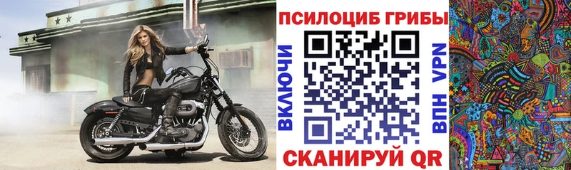 Псилоцибиновые грибы мицелий  Учалы 