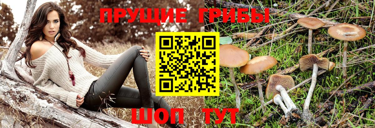 Галлюциногенные грибы Magic Shrooms  Учалы 